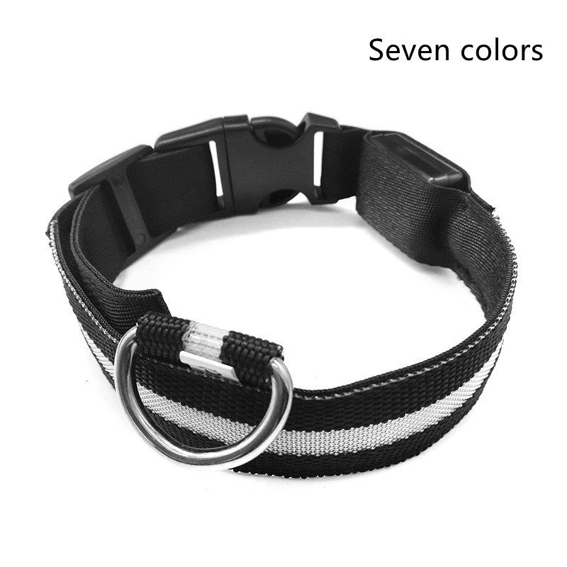 Nylon LED Pet Dog Luminous Collar - Night Safety Flashing Glow in the Dark big dogs big hugs, Ltd.