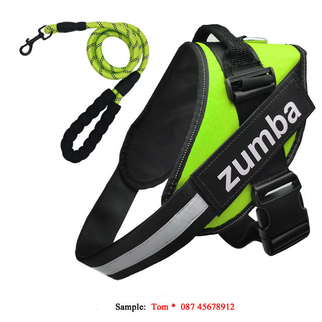 Personalized Reflective Breathable Adjustable Dog Harness and Leash Set big dogs big hugs, Ltd.