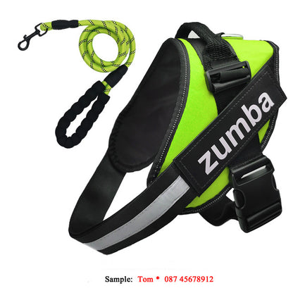 Personalized Reflective Breathable Adjustable Dog Harness and Leash Set big dogs big hugs, Ltd.