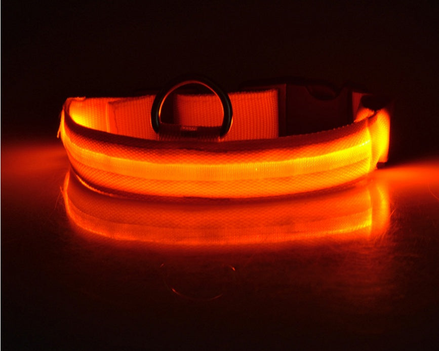 Nylon LED Pet Dog Luminous Collar - Night Safety Flashing Glow in the Dark big dogs big hugs, Ltd.