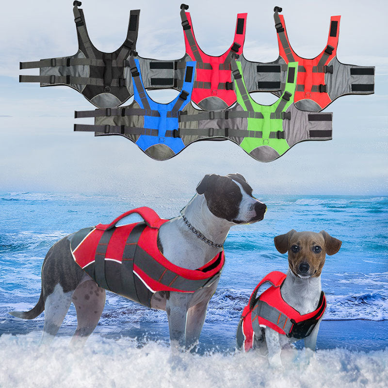 Adjustable Dog Life Jacket for Water Safety: Reflective Strips and Front Float big dogs big hugs, Ltd.