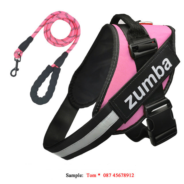 Personalized Reflective Breathable Adjustable Dog Harness and Leash Set big dogs big hugs, Ltd.