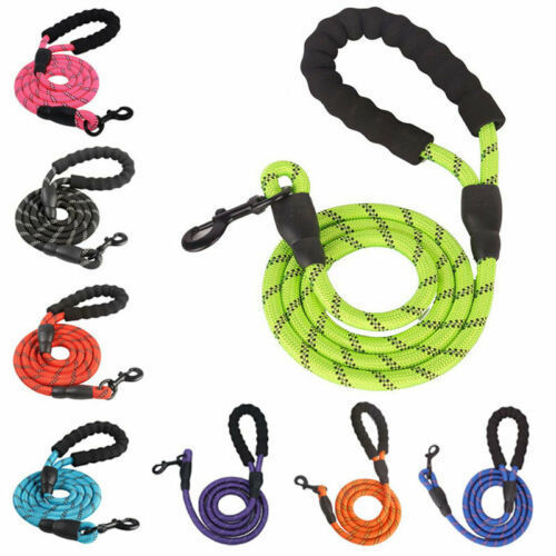 Reflective Nylon Braided Traction Dog Leash: Sturdy and Reliable big dogs big hugs, Ltd.