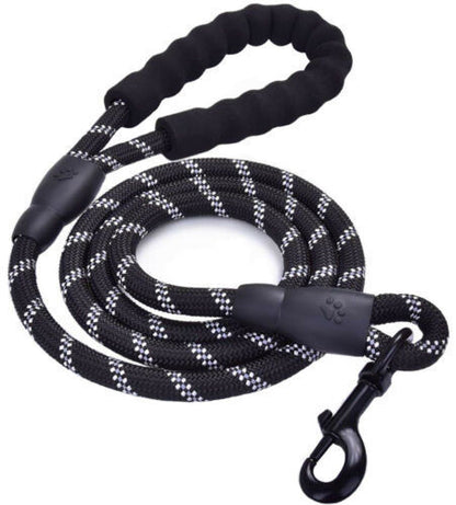 Reflective Nylon Braided Traction Dog Leash: Sturdy and Reliable big dogs big hugs, Ltd.