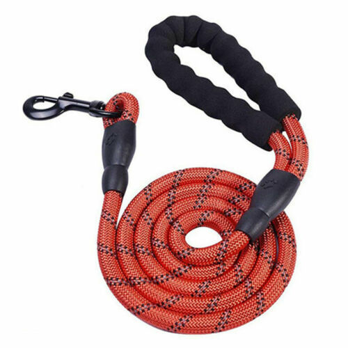 Reflective Nylon Braided Traction Dog Leash: Sturdy and Reliable big dogs big hugs, Ltd.