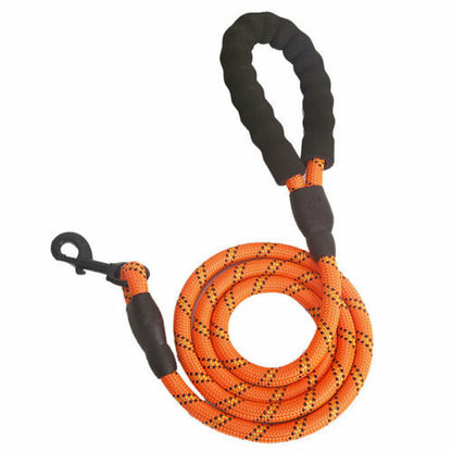 Reflective Nylon Braided Traction Dog Leash: Sturdy and Reliable big dogs big hugs, Ltd.