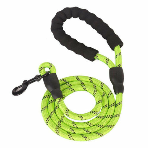 Reflective Nylon Braided Traction Dog Leash: Sturdy and Reliable big dogs big hugs, Ltd.