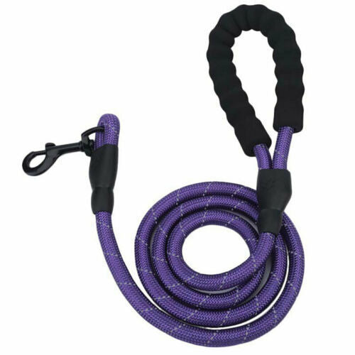 Reflective Nylon Braided Traction Dog Leash: Sturdy and Reliable big dogs big hugs, Ltd.