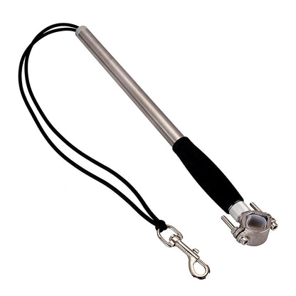 Stainless Steel Bike Leash for Pet Dogs big dogs big hugs, Ltd.