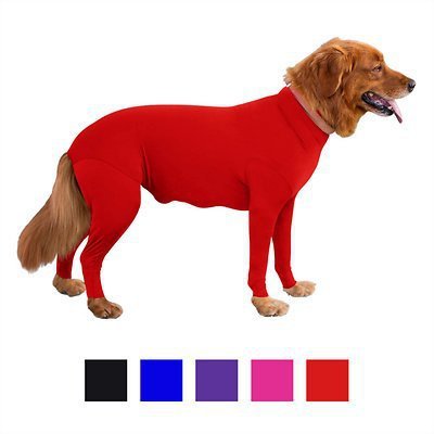 Elastic Dog Clothing for Post-Surgery Comfort and Support big dogs big hugs, Ltd.