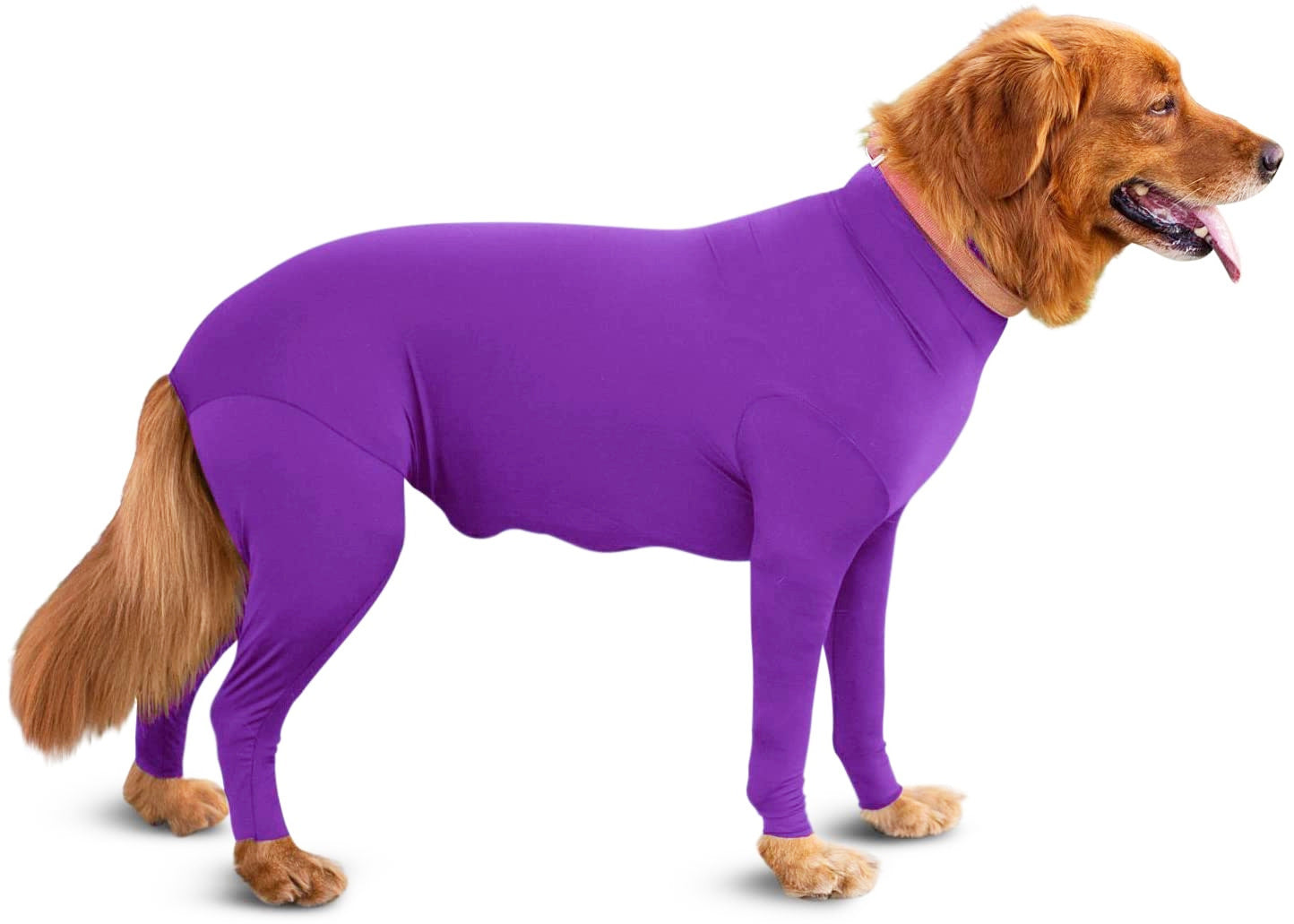 Elastic Dog Clothing for Post-Surgery Comfort and Support big dogs big hugs, Ltd.