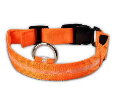 Nylon LED Pet Dog Luminous Collar - Night Safety Flashing Glow in the Dark big dogs big hugs, Ltd.