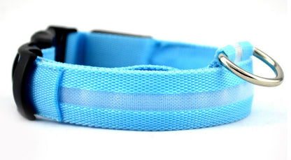 Nylon LED Pet Dog Luminous Collar - Night Safety Flashing Glow in the Dark big dogs big hugs, Ltd.