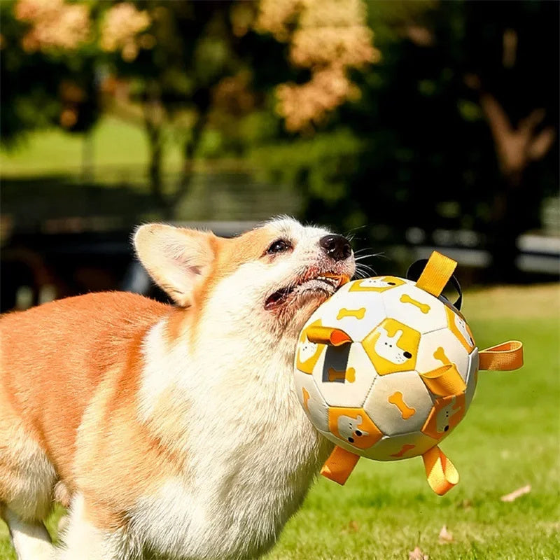 Dog Interactive Soccer Ball for Outdoor Training big dogs big hugs, Ltd.