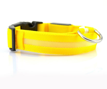 Nylon LED Pet Dog Luminous Collar - Night Safety Flashing Glow in the Dark big dogs big hugs, Ltd.