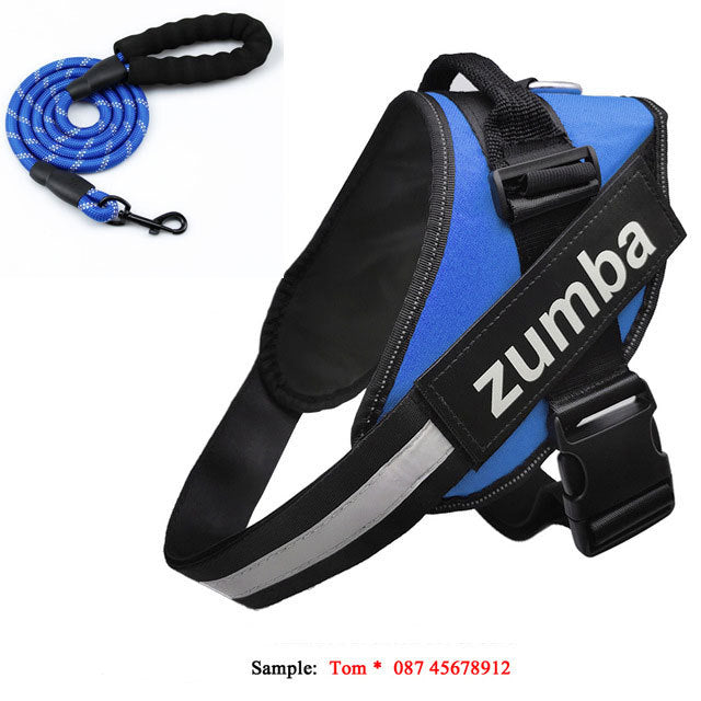 Personalized Reflective Breathable Adjustable Dog Harness and Leash Set big dogs big hugs, Ltd.