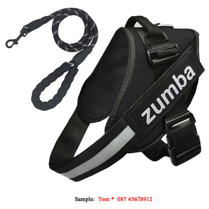 Personalized Reflective Breathable Adjustable Dog Harness and Leash Set big dogs big hugs, Ltd.