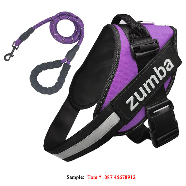 Personalized Reflective Breathable Adjustable Dog Harness and Leash Set big dogs big hugs, Ltd.