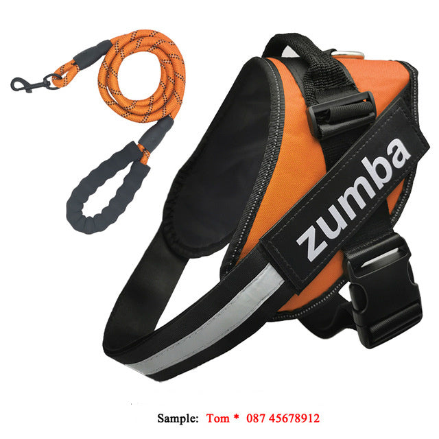 Personalized Reflective Breathable Adjustable Dog Harness and Leash Set big dogs big hugs, Ltd.