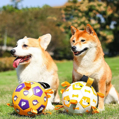 Dog Interactive Soccer Ball for Outdoor Training big dogs big hugs, Ltd.