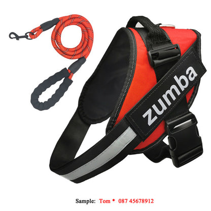 Personalized Reflective Breathable Adjustable Dog Harness and Leash Set big dogs big hugs, Ltd.