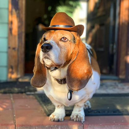 Dogs Outdoor Cowboy Hat - Adjustable Fashion Caps for Small Medium Puppies Big Dogs Big Hugs