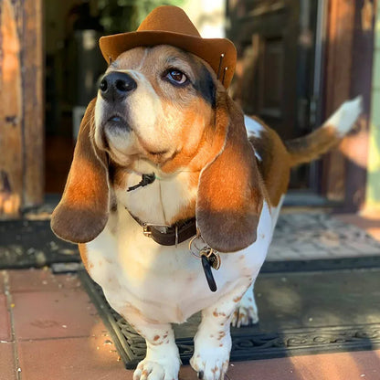 Dogs Outdoor Cowboy Hat - Adjustable Fashion Caps for Small Medium Puppies Big Dogs Big Hugs