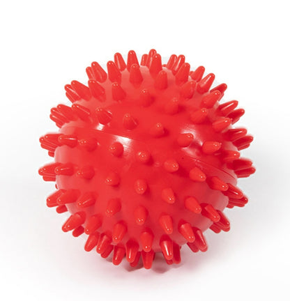 Large Squeaky Dog Toy Ball for Endless Fun and Exercise - Big Dogs Big Hugs, Ltd.