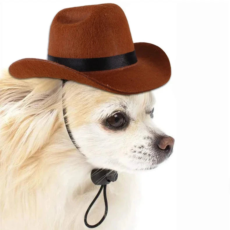 Dogs Outdoor Cowboy Hat - Adjustable Fashion Caps for Small Medium Puppies Big Dogs Big Hugs- Pomeranian wearing a brown hat