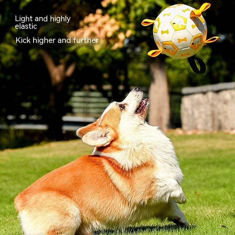 Dog Interactive Soccer Ball for Outdoor Training big dogs big hugs, Ltd.