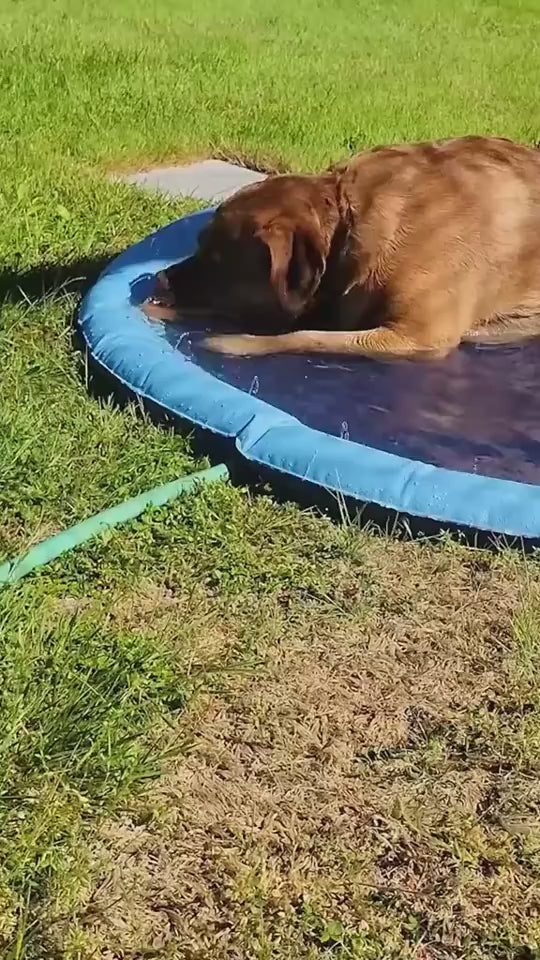 Non-Slip Splash Pad For Kids And Pet Dog- labrador resting on the pad.